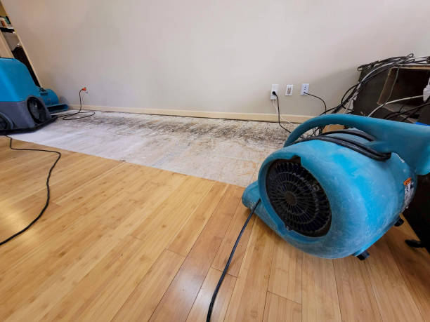 Professional Basement Flood Cleanup technician working in Indian Mound, TN